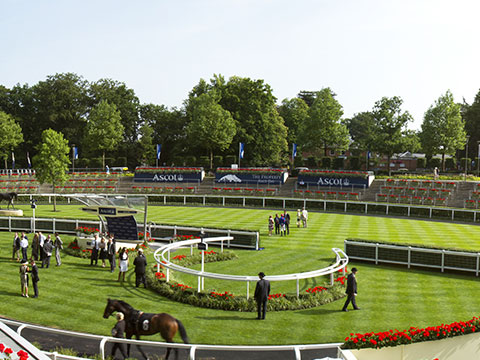 Ascot Racecourse